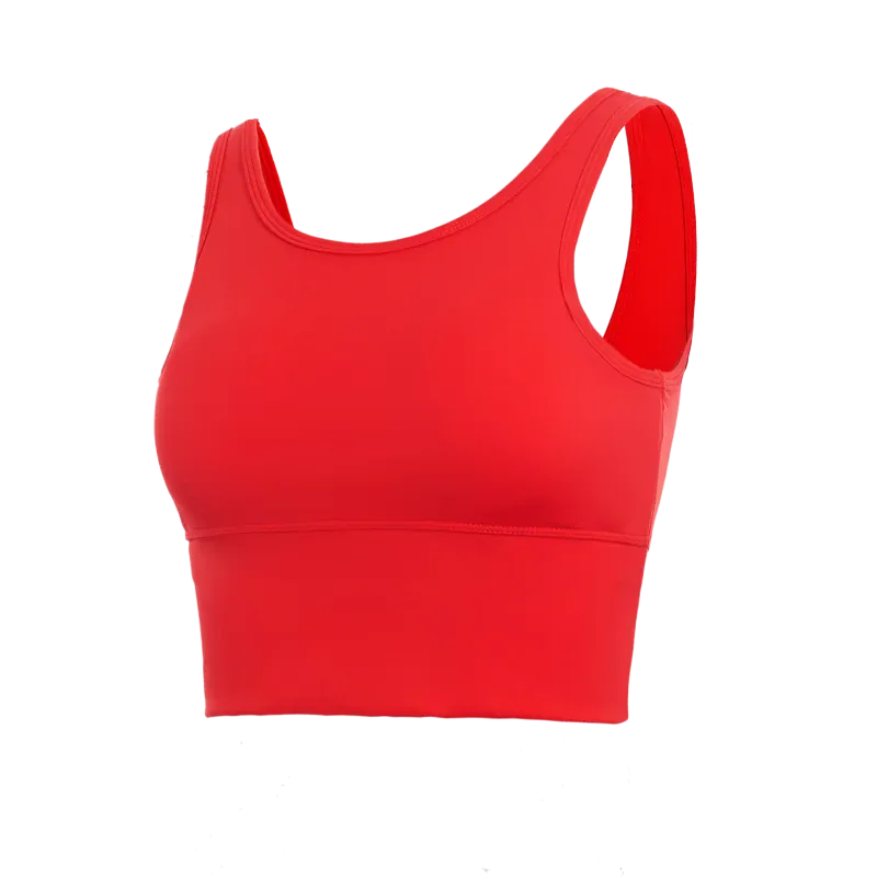 Seamless Shockproof Yoga Bra Fitness Vest Top Gym Sportswear